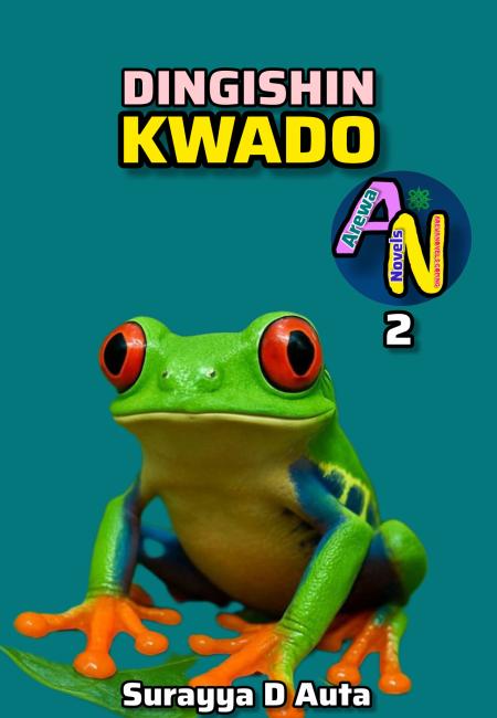 Dingishin Kwado Book 2 Complete Hausa Novels By Hadiza D Auta.docx