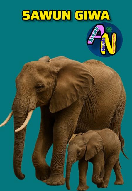 SAWUN GIWA Book 1 Romantic Novels by Autar Alheri.txt